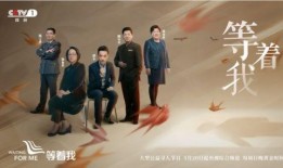 等着我在线观看,感人肺腑的家庭寻亲故事