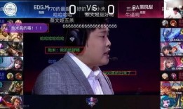 鹏哥爆料行业秘密视频播放,行业秘密视频播放背后的惊人内幕