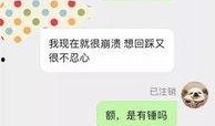 视频投稿爆料网,视频投稿爆料网的秘密世界