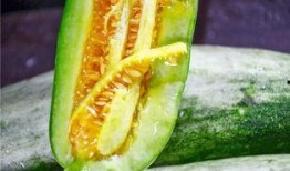 免费网红吃瓜群,揭秘娱乐圈幕后真相