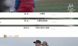 再见爱人4最新一期爆料,夫妻关系再起波澜，真相揭晓令人震惊！