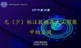 ccf最新爆料,揭秘科技巨头背后的秘密与挑战