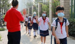 河南开封小学生爆料视频,揭秘校园生活点滴