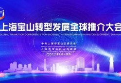 宝山新闻爆料,揭秘某神秘项目进展，引发市民热议