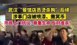 武汉爆料的视频,一场引人深思的公共事件