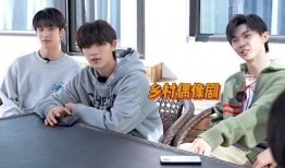 文轩私下爆料视频大全,视频大全背后的惊人真相