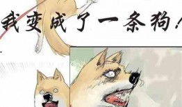 当众吃瓜小说免费阅读下载,揭秘娱乐圈幕后风云，免费阅读下载，畅享精彩故事