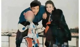 娱乐圈爆料的书叫啥来着,揭秘幕后真相