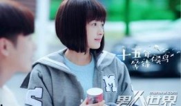 十五年等待候鸟全集在线观看,青春记忆里的温暖守望