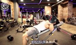 健身训练营爆料视频,独家爆料视频带你领略健身狂潮