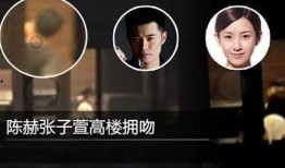 卓伟爆料王菲视频