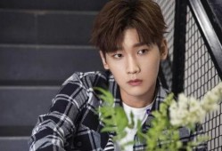 张正宸恋情爆料最新消息,神秘女友身份揭晓，细节揭秘引热议