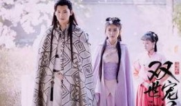 双世宠妃全集在线观看,双世宠妃全集在线观看，浪漫传奇等你解锁