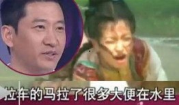 周杰爆料赵薇视频,娱乐圈背后的惊人内幕