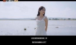 再见爱人4最新一期爆料,夫妻关系再起波澜，真相揭晓令人震惊！