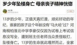 南阳学校爆料事件最新消息,真相与争议交织的教育漩涡