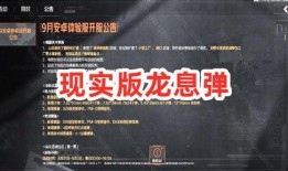 突围爆料视频最新网站,独家内容，精彩纷呈