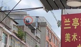 莆田8号楼爆料视频,真实事件引发网友热议